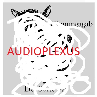 Audioplexus front cover